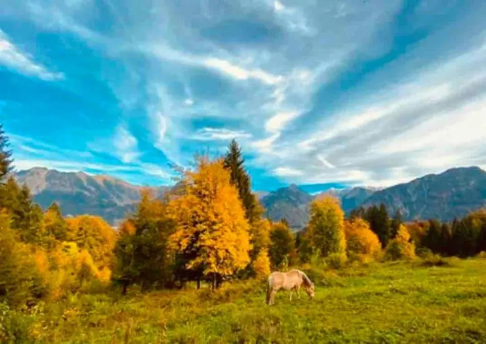 Ferienwohnung Ostrach Im Allgaeu Mit Bergblick Und Garten Sonthofen 0*,