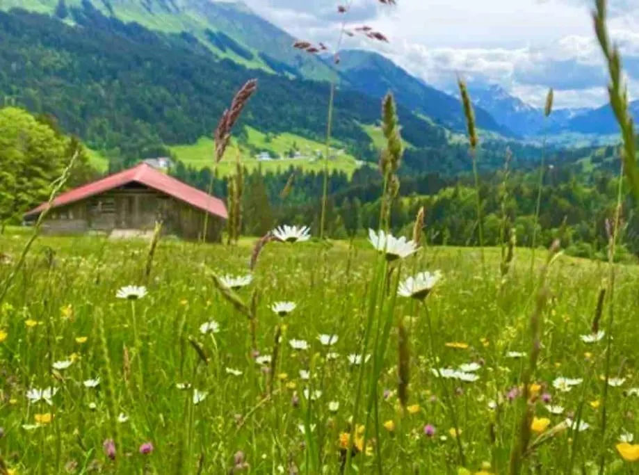 Ferienwohnung Ostrach Im Allgaeu Mit Bergblick Und Garten Sonthofen